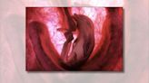 Fact Check: Incredibly Realistic 'Dolphin Fetus in the Womb' Is a Model Created for a TV Show
