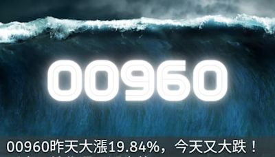 00960昨天大漲19.84%今天又大跌！是炒作還是漲真的？