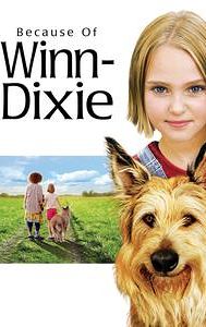Because of Winn-Dixie (film)