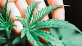 Financial trades: Rescheduling marijuana won't solve banking issues - CUInsight