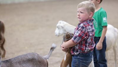 Dozens show off their sheep and goats at Lincoln County Fair
