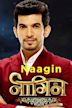 Naagin