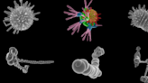 La búsqueda del primer ser vivo en la Tierra y la apasionante batalla entre cazadores de microfósiles