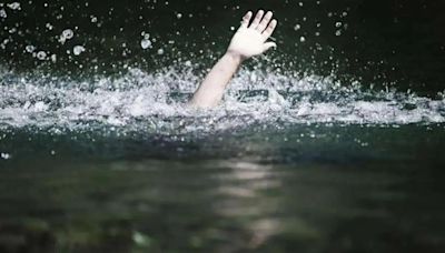 Maharashtra: Five feared drowned at waterfall near Bhushi Dam; search underway