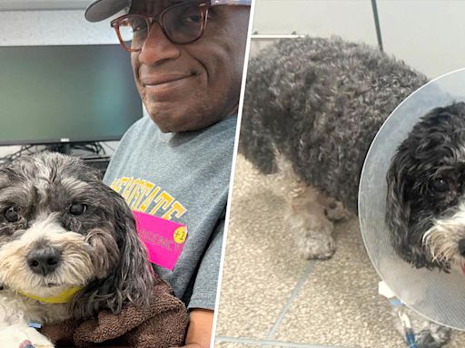 Al Roker reveals his dog Pepper underwent emergency surgery