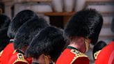 PETA Launches Campaign to End Use of Bearskin for Hats Worn by U.K. King's Guard