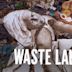 Waste Land (film)