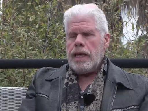 Ron Perlman: Hacen falta más revoluciones porque hay muchas cosas indignantes (C)