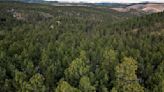 Guided hikes offered on the Black Hills National Forest in celebration of National Trails Day