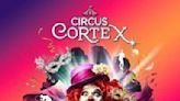 Circus Cortex at Catton Park, Norwich. at Catton Park