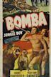 Bomba, the Jungle Boy (film)