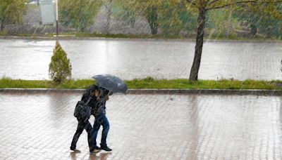 迎接颱風季...賈新興估生成17至21個「較平均少」 明起各地局部陣雨