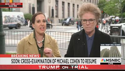 ‘Moment of Real Triumph’ For Trump: MSNBC Legal Analyst Argues Michael Cohen’s Testimony Today Badly Hurt the Prosecution