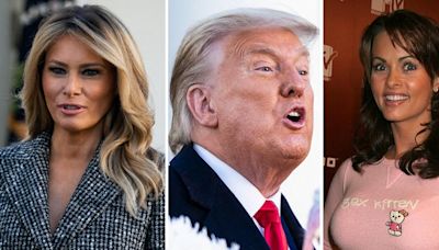 ... Upset' by Karen McDougal's Alleged Affair With Donald Trump — More So Than Stormy Daniels, CNN Star Claims