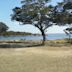 Lake Chivero Recreational Park