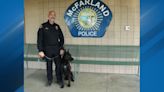 K9 Khan and Officer Weiss: McFarland's new dynamic duo paw-trolling the streets