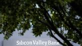 Silcon Valley Bank's tech failings were a problem long before the run that led to its demise, critics say