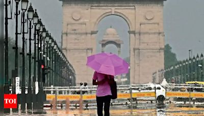 Delhi Heatwave: Najafgarh Records Highest Temperature, IMD Issues Alerts | Delhi News - Times of India