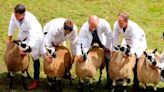 'It's all false promises or false hope': Welsh farmers on their fears for the future