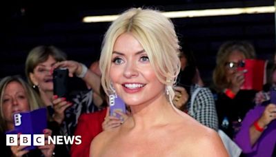 Holly Willoughby rape plot 'not just a fantasy', trial hears