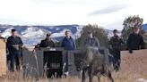 Colorado releases 5 wolves as first reintroduced predators from Oregon hit the ground