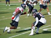 2010 Houston Texans season