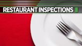 Insects flying above prep area: Chester County restaurant inspections, May 19, 2024