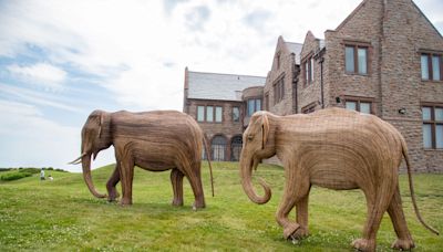 Newport Restoration Foundation hosting community events to view Great Elephant Migration