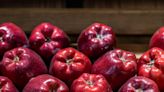 Why the Red Delicious Apple isn't actually delicious anymore