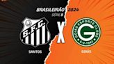 Santos x Goiás, AO VIVO, com a Voz do Esporte, às 17h30