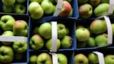 How do you like them apples, Goldman Sachs tells staff