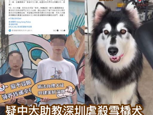 疑中大助教深圳虐殺雪橇犬事件 馬浚偉發公開信促中大嚴肅跟進