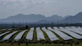 Solar power generation helped avoid $34bn in costs for seven Asian countries OLD