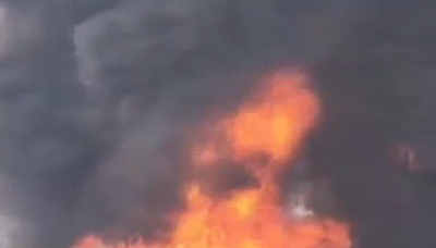 Massive Fire Breaks Out At Chemical Factory In Haryana's Yamunanagar - VIDEO