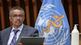 WHO chief urges countries to finalise pandemic accord by deadline