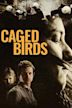 Caged Birds