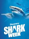 Discovery Presents: Shark Week