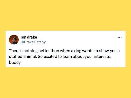 29 Of The Funniest Tweets About Cats And Dogs This Week (July 13-19)