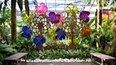 Art imitates life and vice versa in Selby Gardens’ Tiffany exhibition