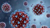 Los virus dejan huellas inmunes imborrables en nuestro cuerpo