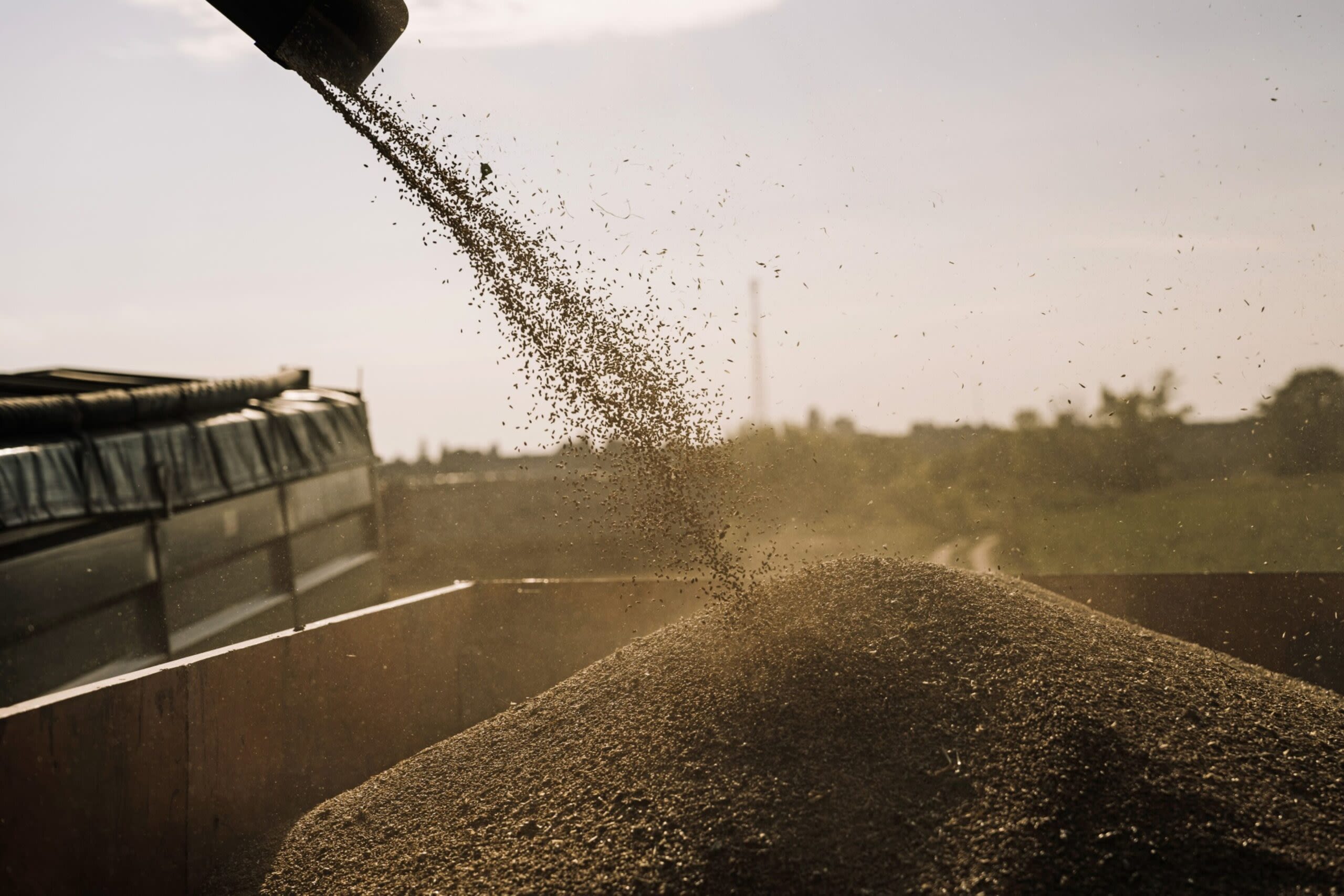 Republican Senators' FARMER Act Seeks to Boost Crop Insurance Coverage