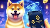 Binance Pay Launches Dedicated Shiba Inu Payment Page, Boosting SHIB Use - EconoTimes