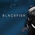 Blackfish