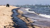 Un vertido obliga a cerrar las playas del parque natural de la Devesa-Albufera en Valencia