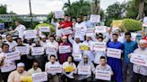 In Shah Alam, youth wings of Selangor Pakatan and BN draw small crowd to defend the monarchy