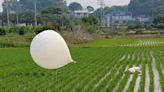 Trash war: What's inside the balloons that North Korea is sending across the border?