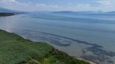 Lake Prespa: What will it take to save one of Europe’s oldest lakes?