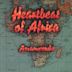 Heartbeat of Africa