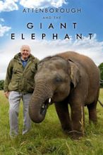 Attenborough and the Giant Elephant (TV) (2017) - FilmAffinity