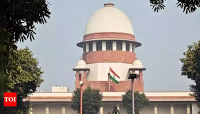 Senior advocates urge CJI for open court hearing of same-sex marriage verdict review | India News - Times of India